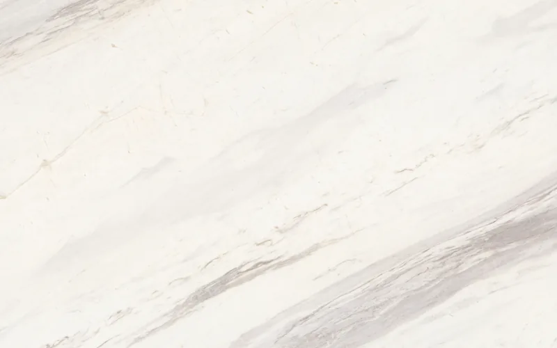 20 · Jazz White